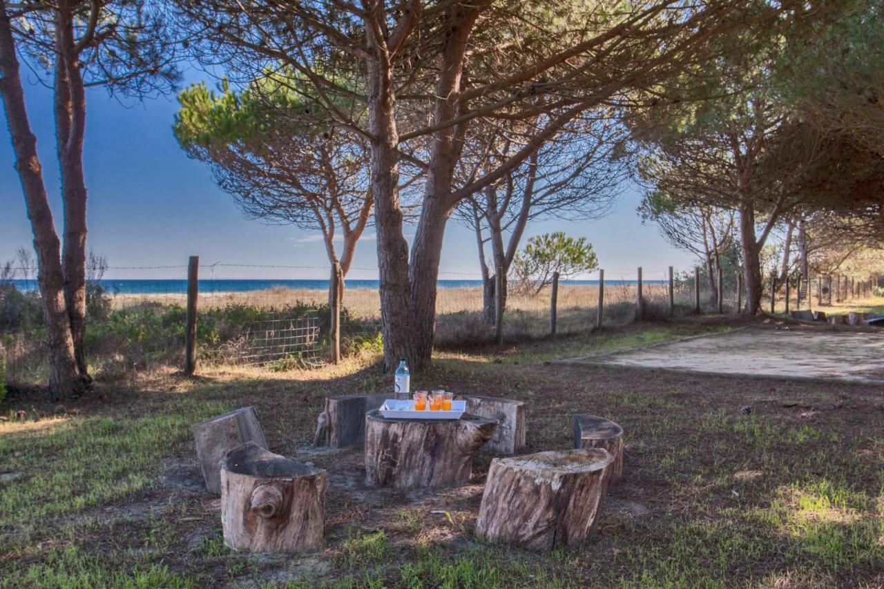 Maisons Bord De Mer- Marine De Sorbo - Gites 3 Epis Pinarellu Esterno foto