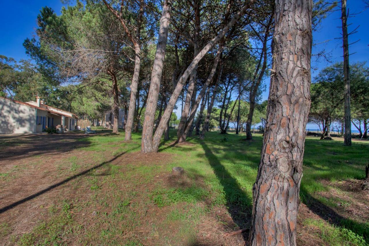 Maisons Bord De Mer- Marine De Sorbo - Gites 3 Epis Pinarellu Esterno foto
